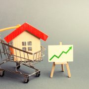 Self-Directed Real Estate IRA